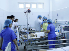 Ảnh bìa bài viết 555918