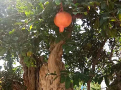 Ảnh bìa bài viết 555783