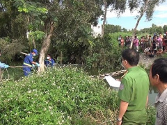 Ảnh bìa bài viết 555931