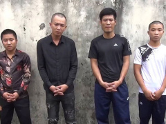 Ảnh bìa bài viết 556133