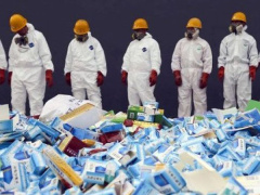 Ảnh bìa bài viết 556042