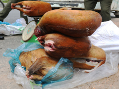 Ảnh bìa bài viết 556186