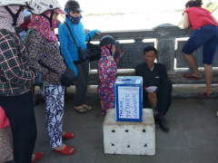 Ảnh bìa bài viết 556385