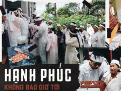 Ảnh bìa bài viết 556242