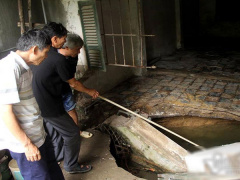 Ảnh bìa bài viết 556373