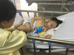 Ảnh bìa bài viết 556338