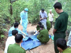 Ảnh bìa bài viết 556626