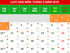 Ảnh bìa bài viết 556716