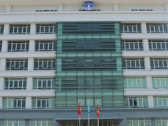 Ảnh bìa bài viết 556918