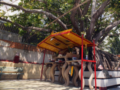 Ảnh bìa bài viết 557027