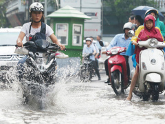 Ảnh bìa bài viết 557197