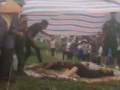 Ảnh bìa bài viết 557163