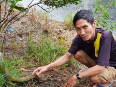 Ảnh bìa bài viết 557232
