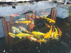 Ảnh bìa bài viết 557399