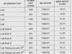 Ảnh bìa bài viết 557570