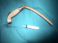 Ảnh bìa bài viết 557670
