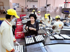 Ảnh bìa bài viết 557745