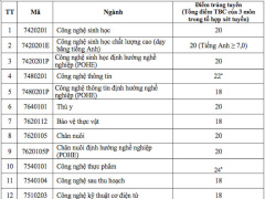 Ảnh bìa bài viết 557848