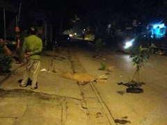 Ảnh bìa bài viết 557867