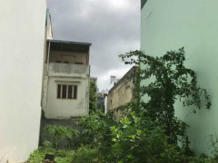 Ảnh bìa bài viết 557850