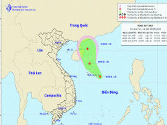 Ảnh bìa bài viết 557935