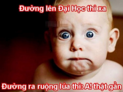 Ảnh bìa bài viết 558027