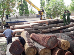 Ảnh bìa bài viết 558216