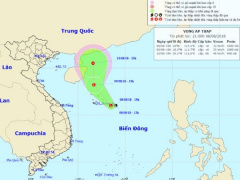 Ảnh bìa bài viết 557991