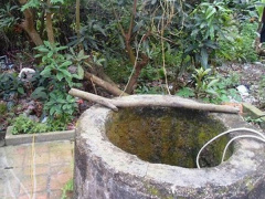 Ảnh bìa bài viết 558110