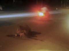 Ảnh bìa bài viết 558175