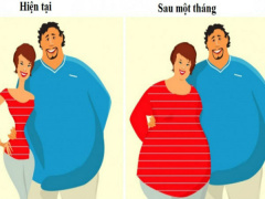 Ảnh bìa bài viết 558372