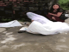 Ảnh bìa bài viết 558353