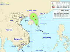 Ảnh bìa bài viết 558266