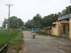 Ảnh bìa bài viết 558355