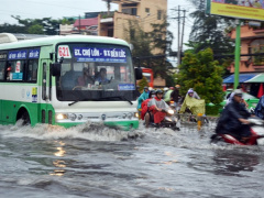 Ảnh bìa bài viết 558349