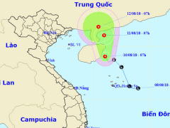 Ảnh bìa bài viết 558397