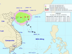 Ảnh bìa bài viết 558608