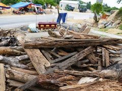 Ảnh bìa bài viết 559066