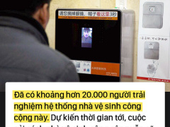 Ảnh bìa bài viết 558987