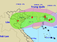 Ảnh bìa bài viết 558968