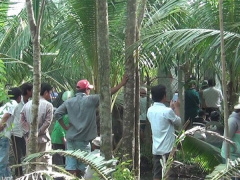Ảnh bìa bài viết 558961