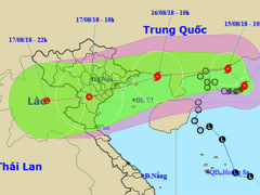 Ảnh bìa bài viết 559238