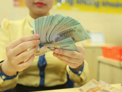 Ảnh bìa bài viết 559124