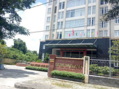 Ảnh bìa bài viết 559288
