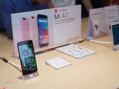 Ảnh bìa bài viết 559240
