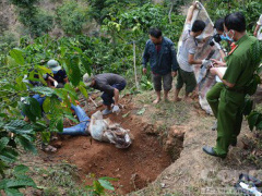 Ảnh bìa bài viết 559480