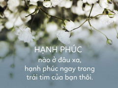 Ảnh bìa bài viết 559351