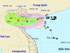 Ảnh bìa bài viết 559721