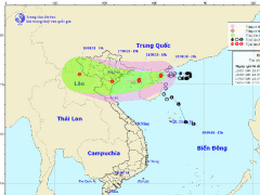 Ảnh bìa bài viết 559620
