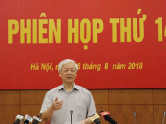 Ảnh bìa bài viết 559982